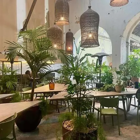 The Grandparents'house Ii 리스본